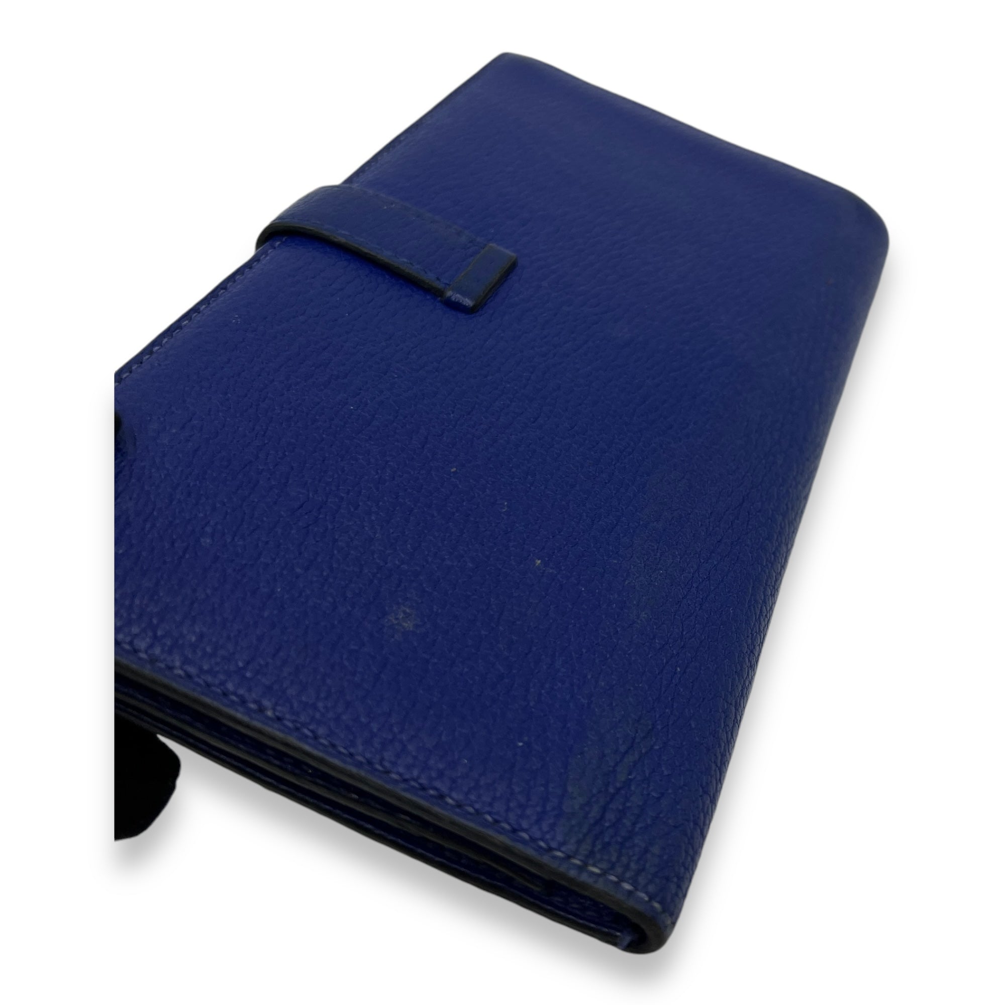 Bearn Blue in Chevre Mysore, Gold hardware - Image 8