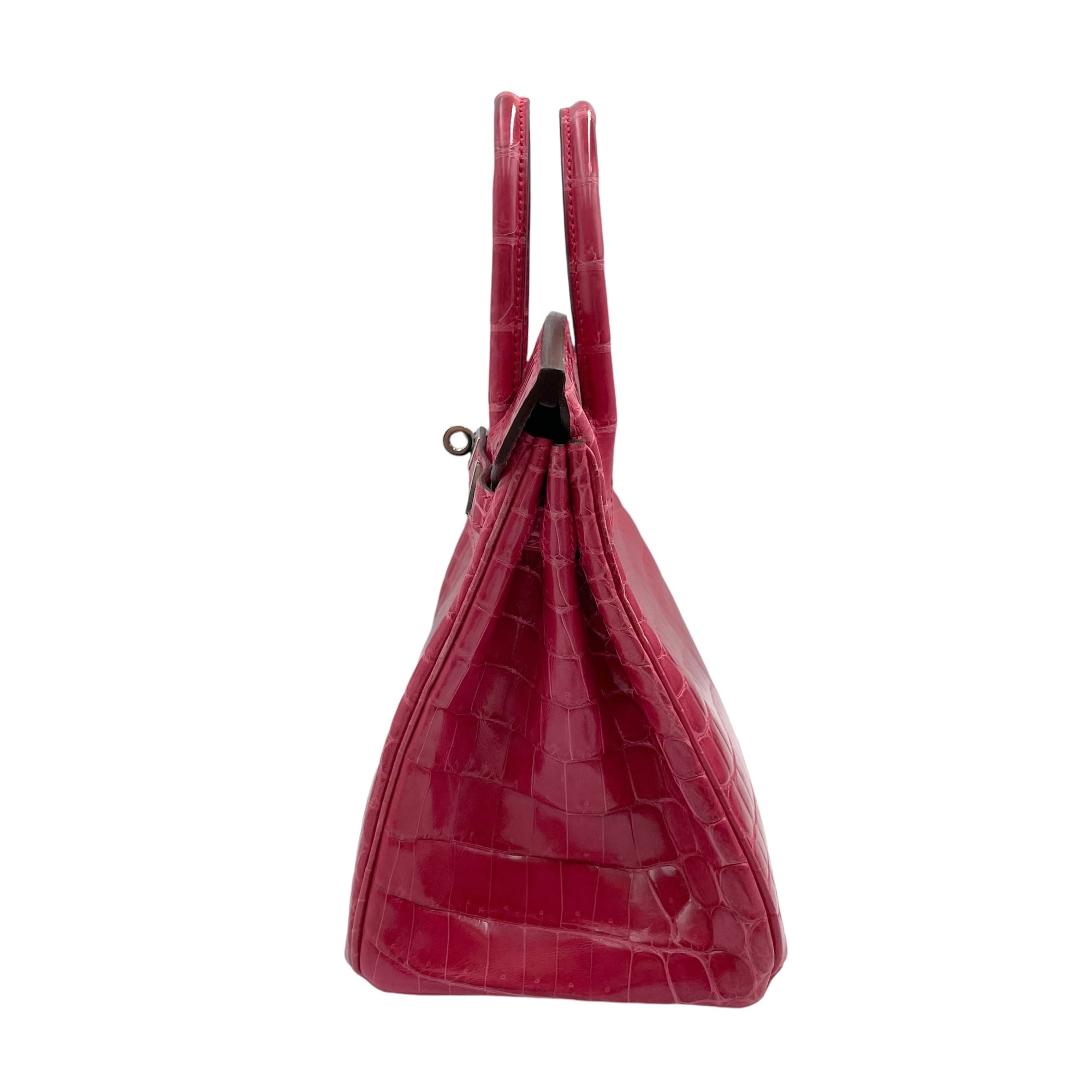 Birkin 25 Rose Extreme in Shiny Niloticus, Palladium hardware - Image 5