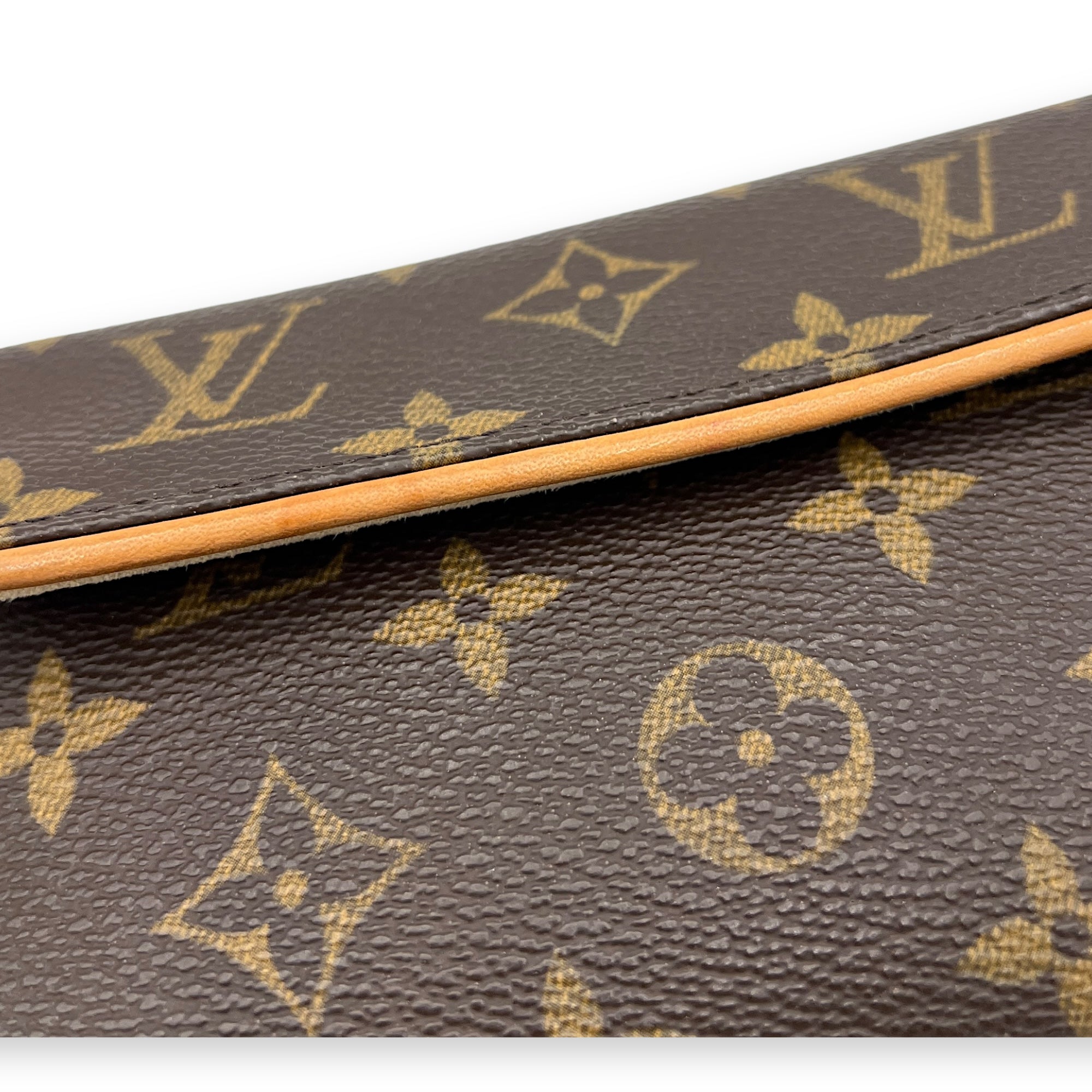 Florentine Belt Bag Brown in Monogram Coated Canvas, Gold hardware - Image 10