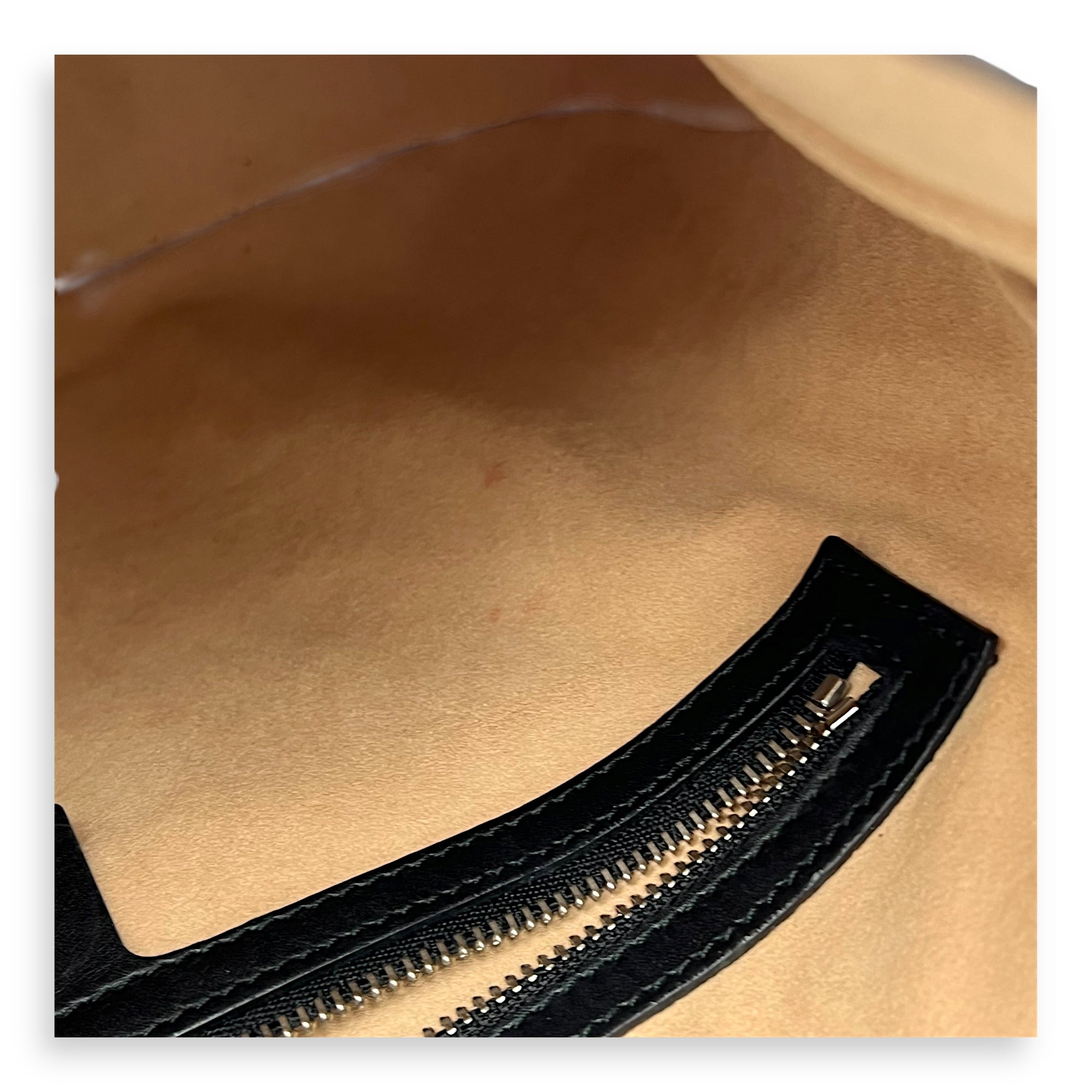 Dionysus Shoulder Bag Black in Calfskin, Silver hardware - Image 9