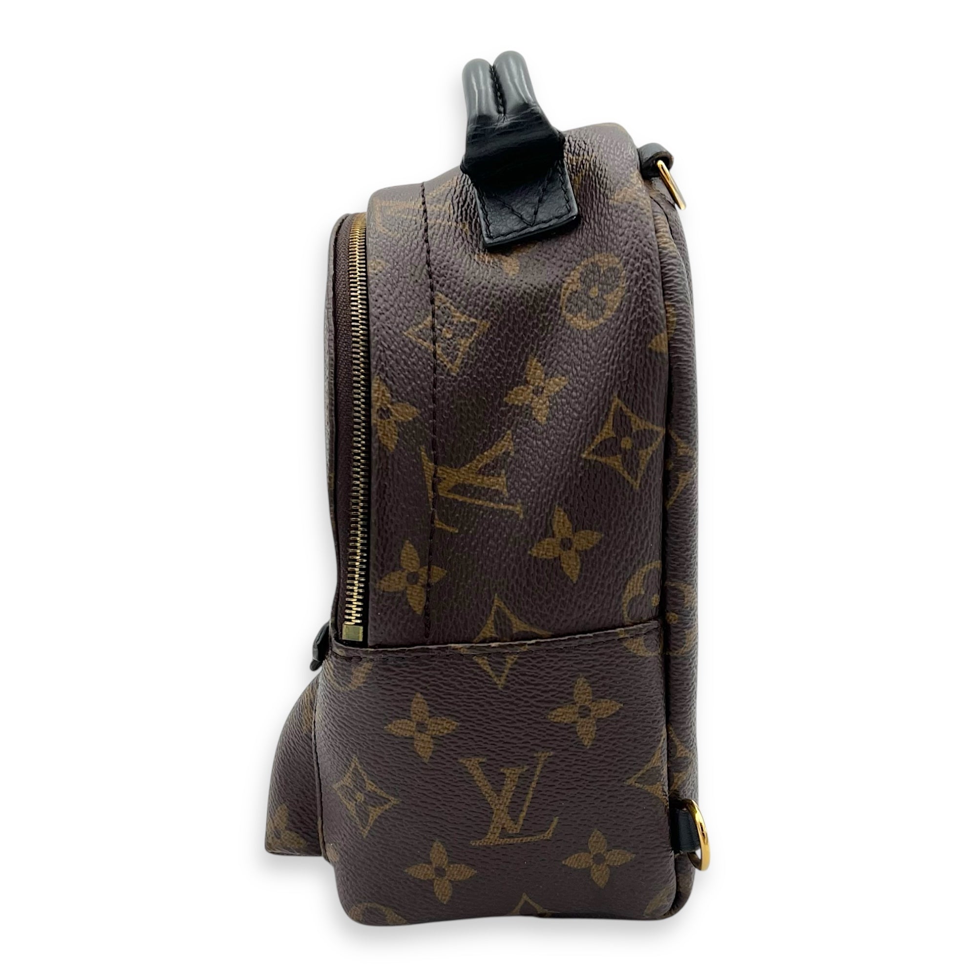 Palm Springs Crossbody Bag Mini Brown in Monogram Coated Canvas, Gold hardware - Image 5
